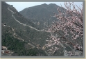 Lente en bloesem in China